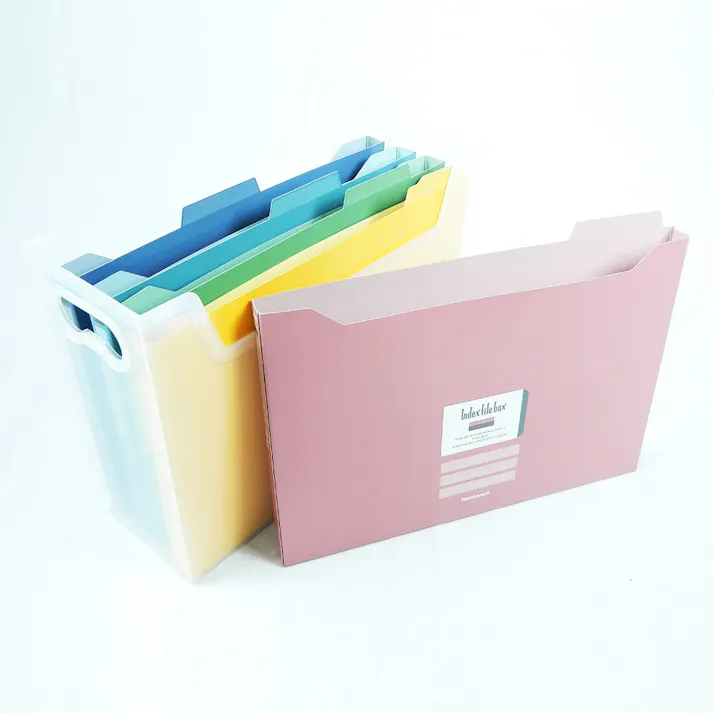 ナカバヤシ ファイルボックス フボI-F1-C