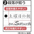 【CAINZ-DASH】ナカバヤシ ロジカル・エアーノート　Ａ罫／Ａ４／４０枚 NO-A409A【別送品】
