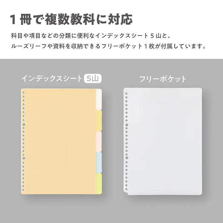 ロジカル・バインダーノート フレント A4 クリア