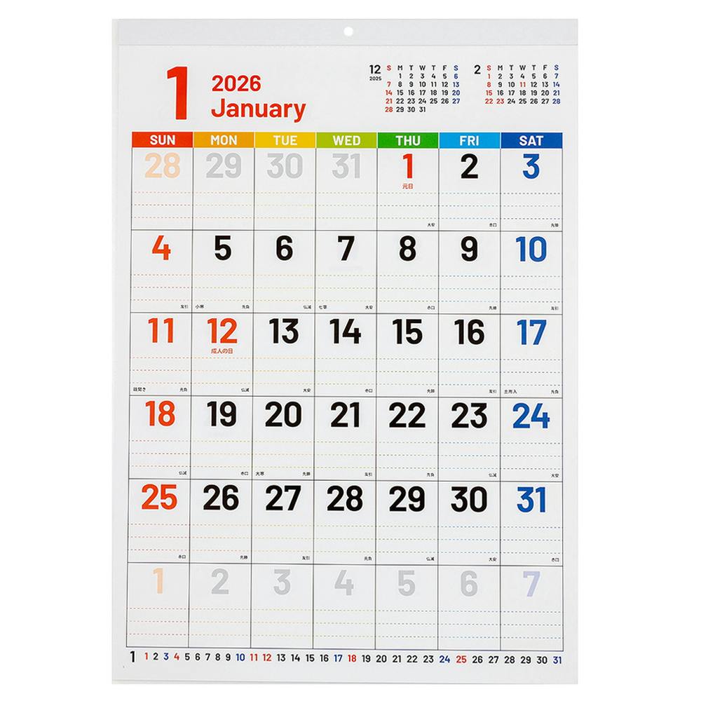 Ǌ|J_[ 2026Nx SC(ZuJ[) lZ4 J_[