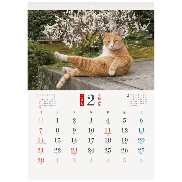 2027年 壁掛カレンダー わんにゃん四季 B3変形
