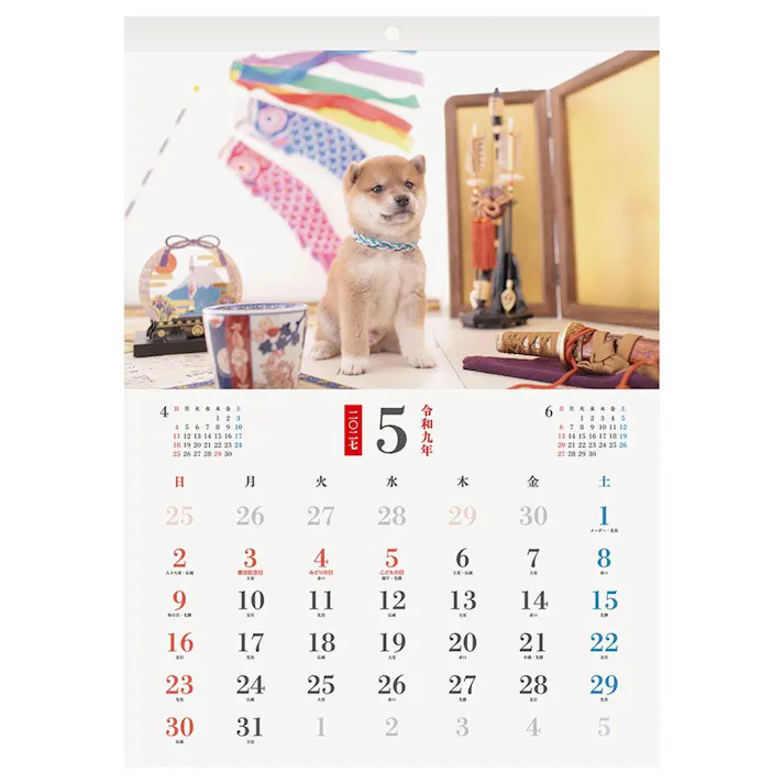 2027年 壁掛カレンダー わんにゃん四季 B3変形