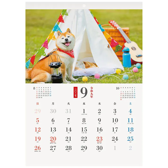 2027年 壁掛カレンダー わんにゃん四季 B3変形
