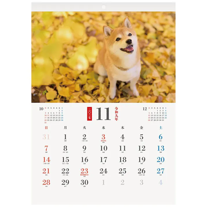 2027年 壁掛カレンダー わんにゃん四季 B3変形