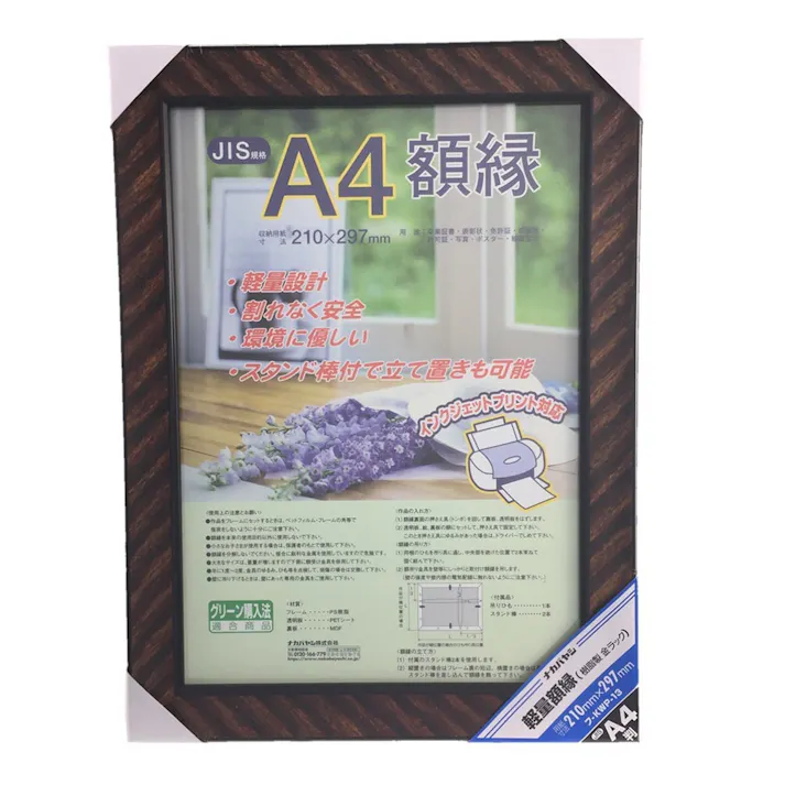 ナカバヤシ 軽量額縁 樹脂製 金ラック A4判 フ-KWP-13