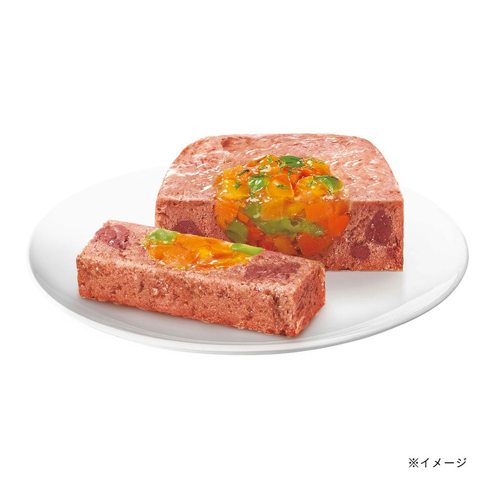 シーザー 吟選ビーフ チキン・野菜入り 100g CE29N | ドッグフード