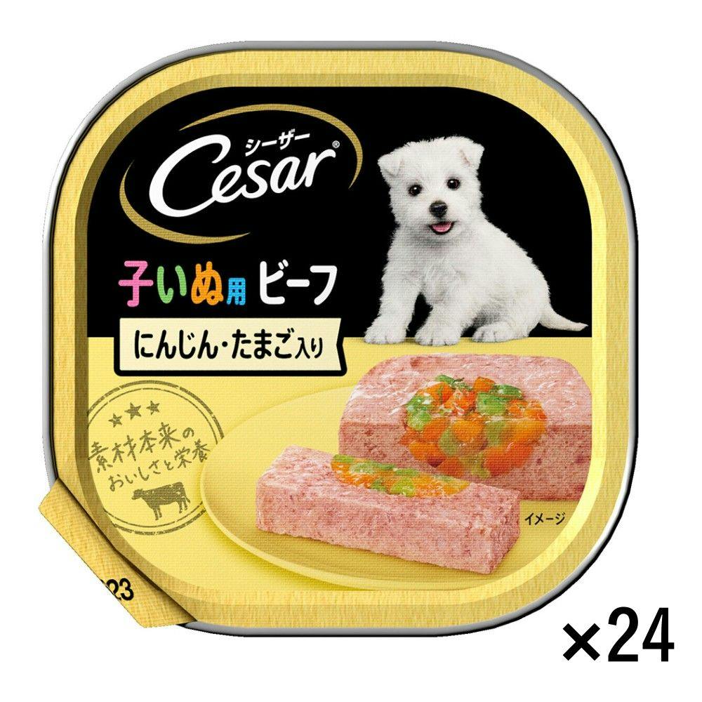 シーザー 子いぬ用 ビーフ にんじん＆たまご入り 100g CE50N
