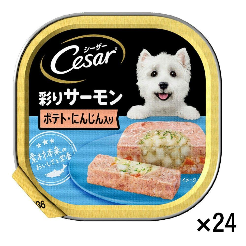 【ケース販売】シーザー サーモン風味 ポテトとにんじん入り 100g×24個