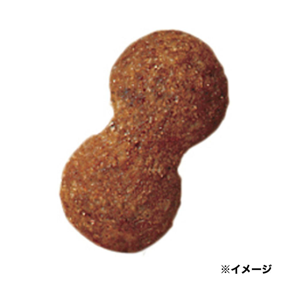 プロマネージ ミニチュアダックス 成犬用 4kg KPM70(販売終了