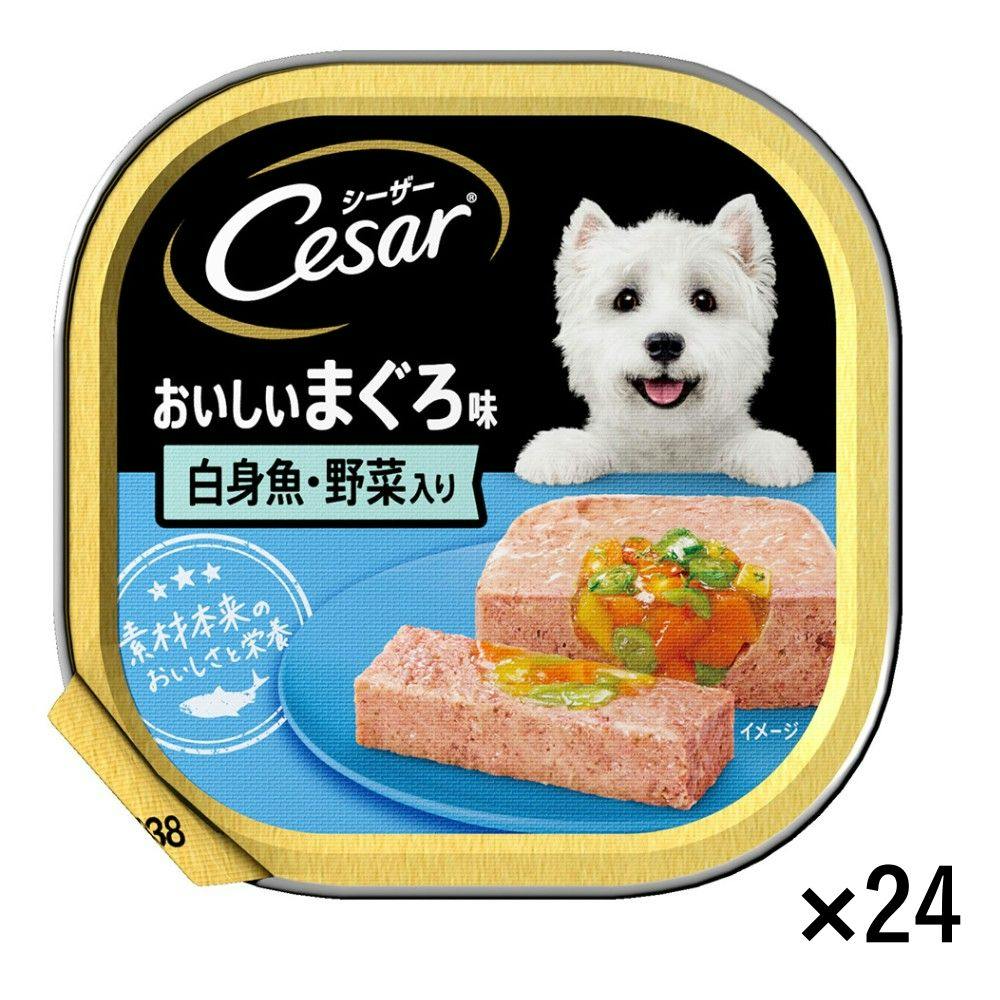 【ケース販売】シーザー おいしいまぐろ 白身魚・野菜入り 100g×24個