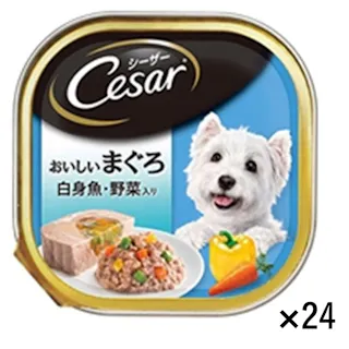 【ケース販売】シーザー おいしいまぐろ 白身魚・野菜入り 100g×24個