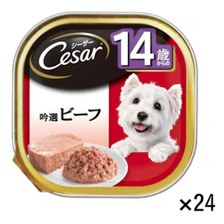 【ケース販売】シーザー 14歳 吟選ビーフ 100g×24個