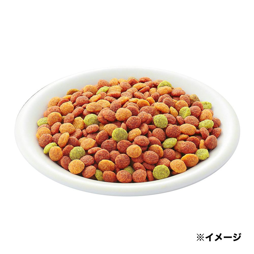 在庫少　カルカン毛玉ケアかつおとチキン味1.6kg×11袋 在庫少 カルカン毛玉ケアかつおとチキン味1.6kg×11袋 Amazon.