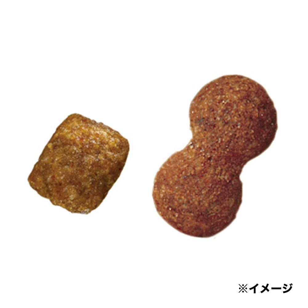 プロマネージ 11歳 Mダックス用1.7kg KPM60 | ドッグフード 通販