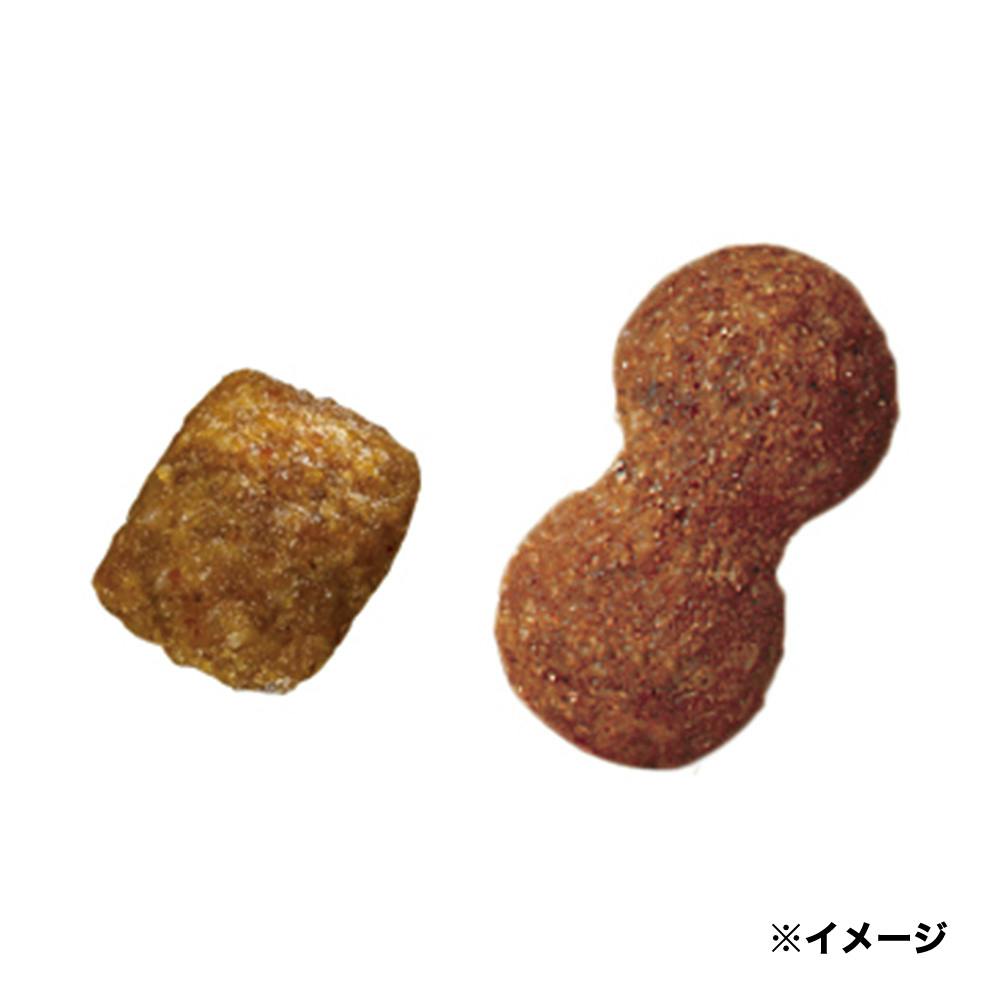 ドックフード プロマネージ 11歳からのミニチュアダックス専用 小粒 4kg KPM90