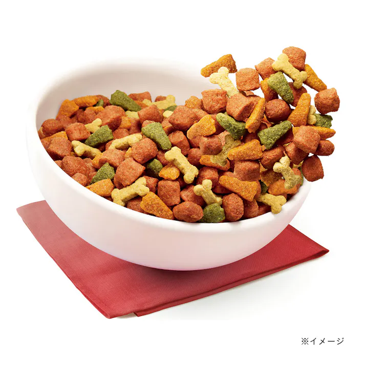 ペディグリー 成犬 ビーフ野菜 10kg PDN4