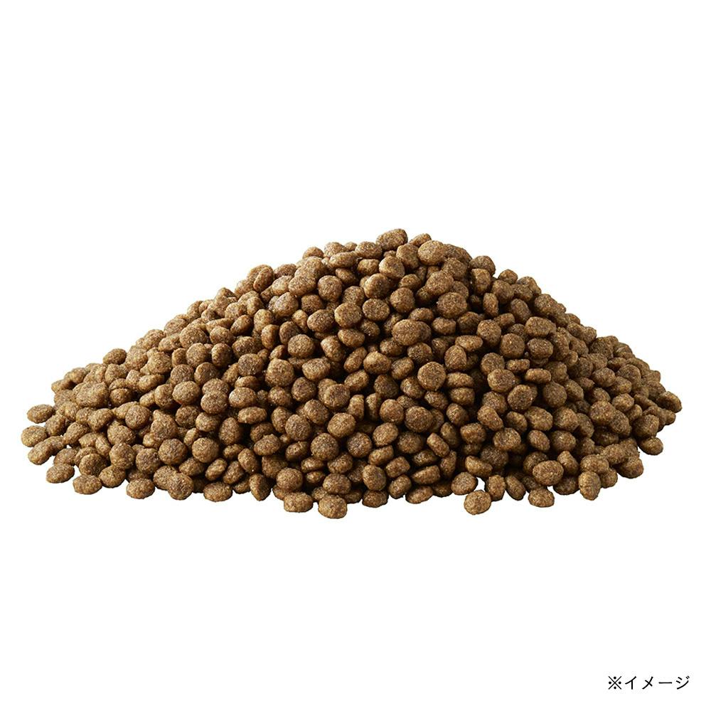 アイムス 成犬用 小型犬用 チキン 小粒 2.3kg IDK22 | ドッグフード