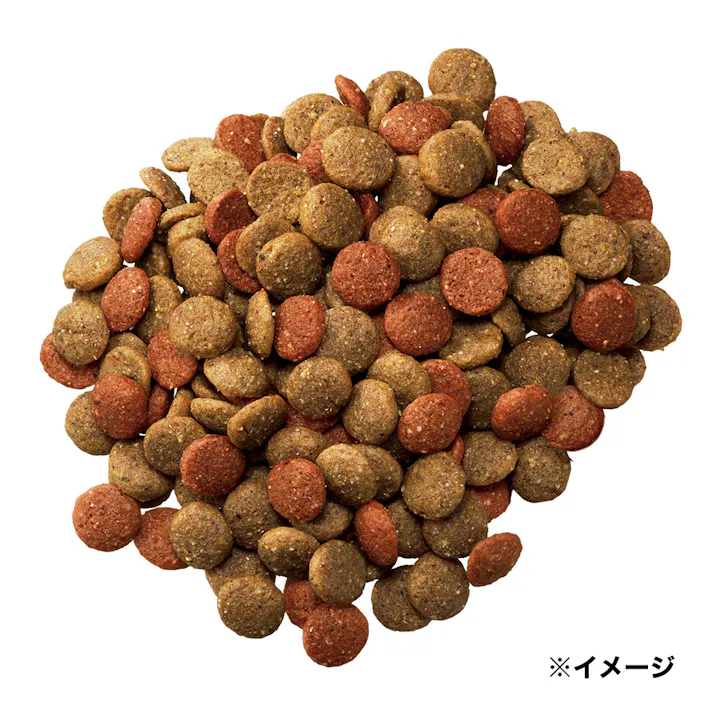 ペディグリー 11歳から用 ヘルシーチキン&緑黄色野菜 10kg PDN32