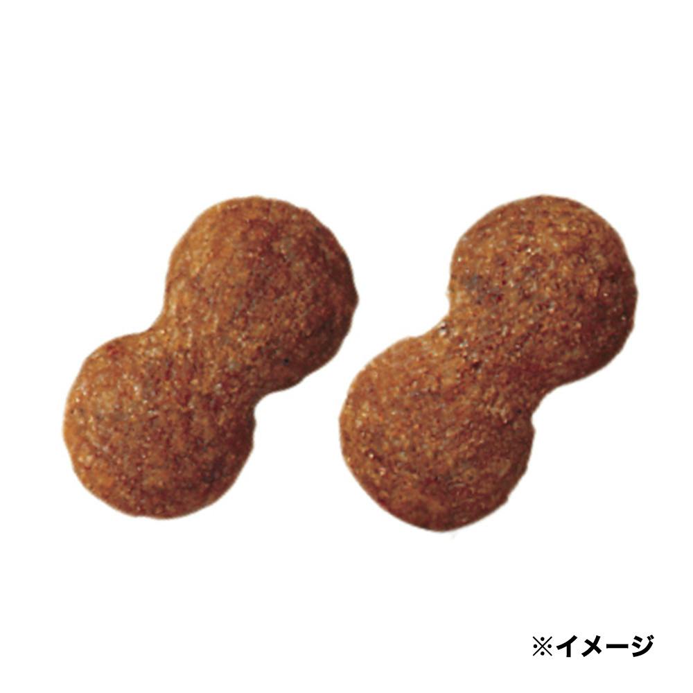 プロマネージ 7歳からのチワワ専用 1.7kg KPM51 | ドッグフード 通販