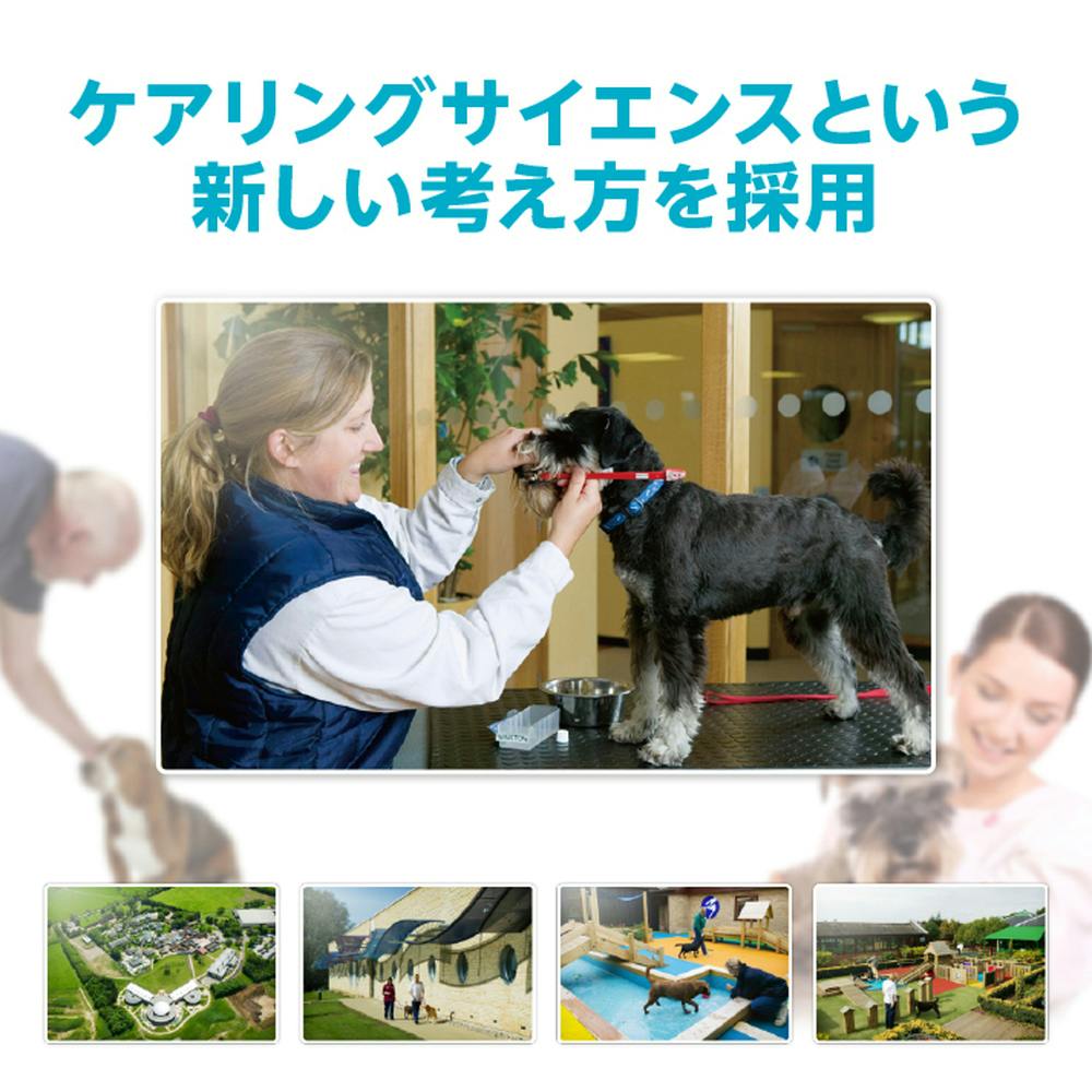 プロマネージ 成犬用 室内犬用 4kg PMG73 | ドッグフード 通販