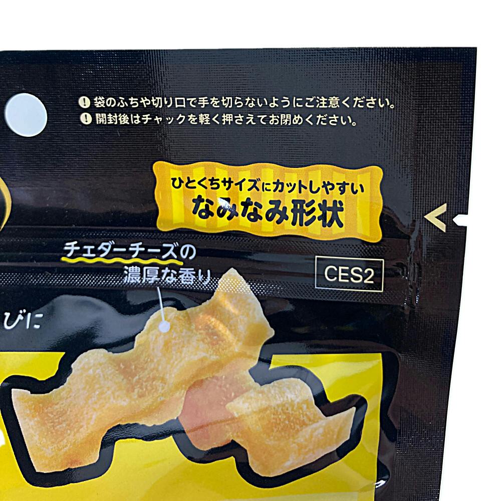 ジャパン シーザー (ケース販売)の通販はau PAY マーケット - TWOE