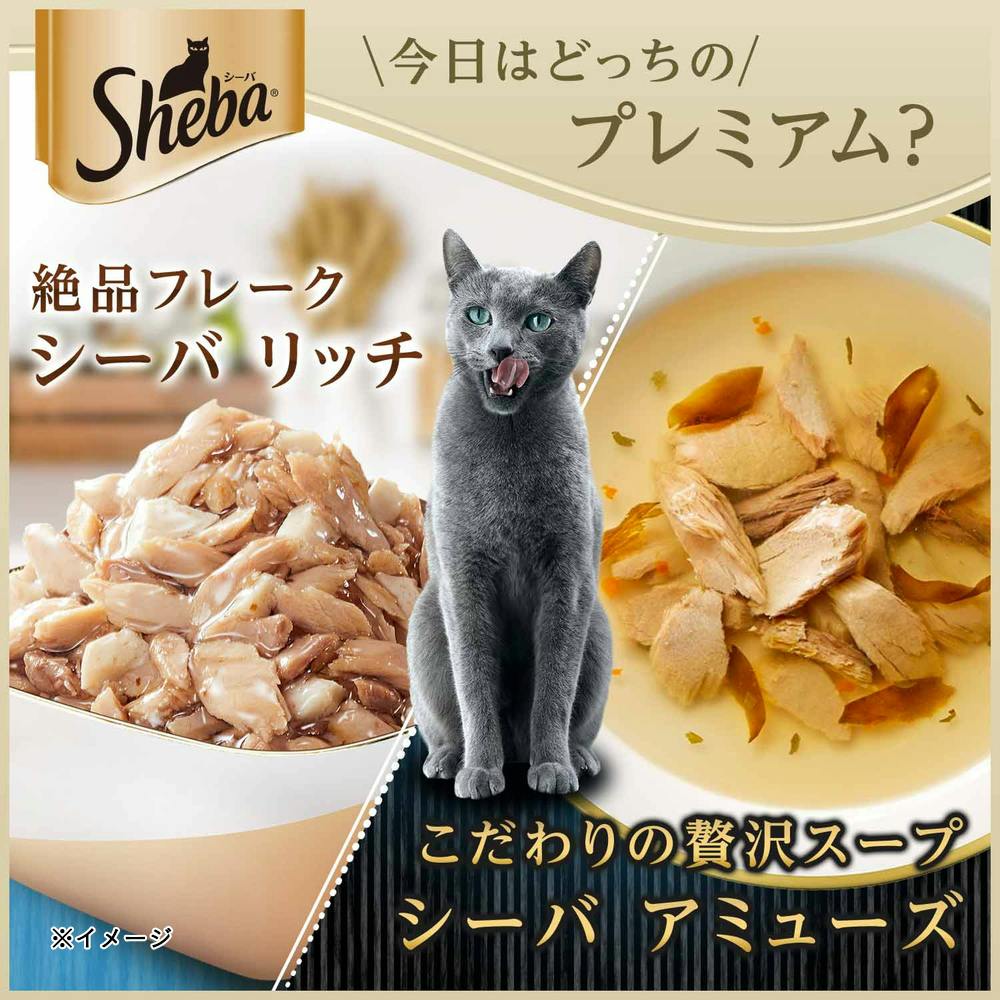 シーバアミューズ シーフードスープ蟹かまサーモン 40g SAM102