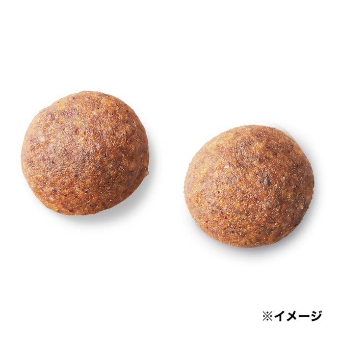 プロマネージ 成犬用 高たんぱくレシピ チキン 小粒 1.4kg PGF40