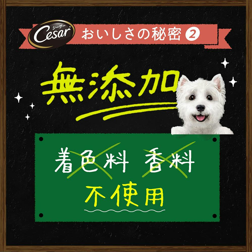 シーザー 自然素材レシピ 平飼いチキン＆にんじん・いんげん 85g CEM2