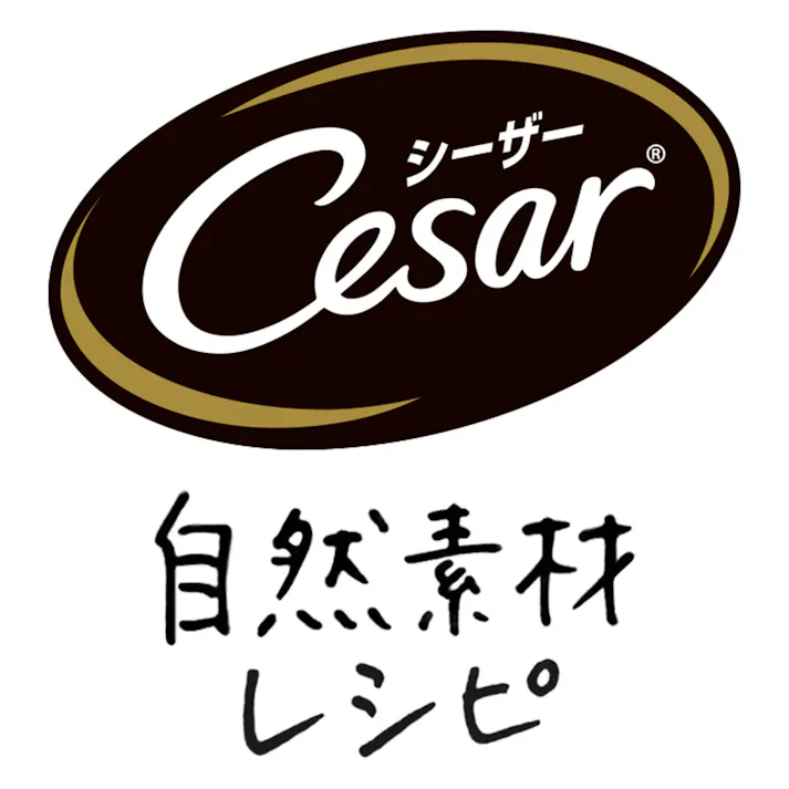 シーザー 自然素材レシピ ターキー&にんじん・いんげん 85g CEM3