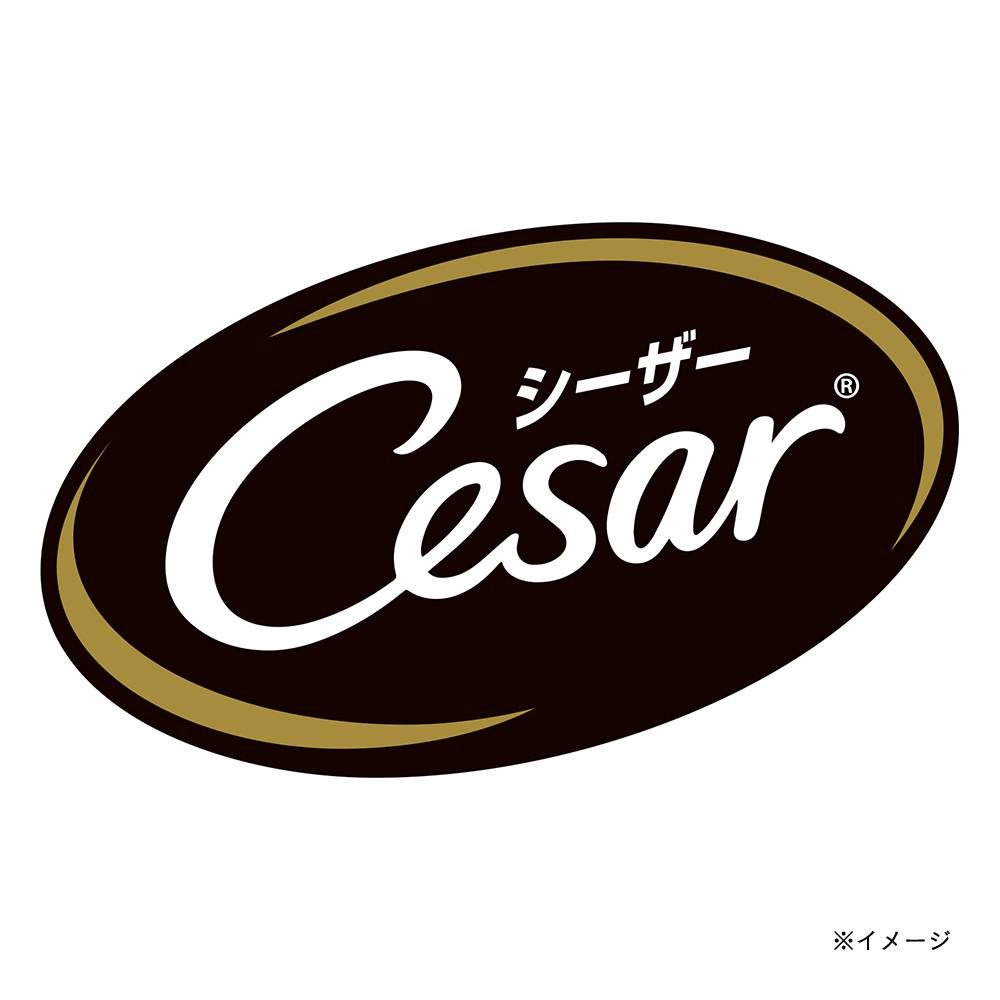 シーザー ふっくら蒸しささみ 70g×4袋 CPM1 | ドッグフード 通販