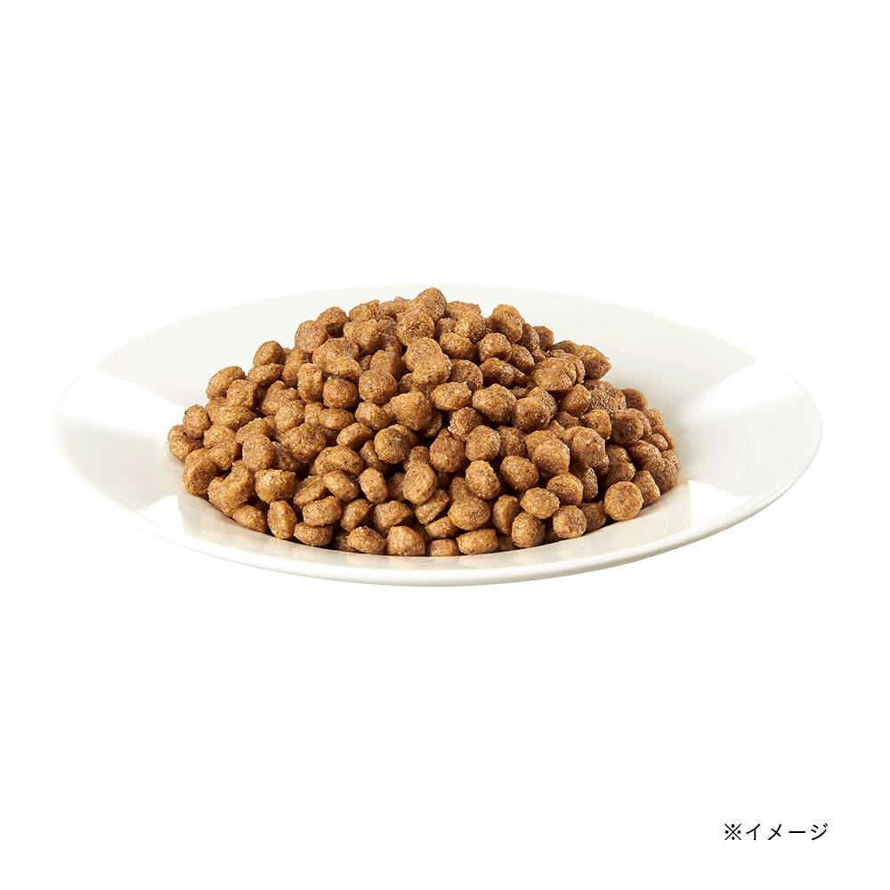 シーザードライ ドッグフード チキンと4種の農園野菜入超小粒＆小粒8袋12kg Amazon.co.jp: シーザードライ 成犬用 超小粒 ドッグフード