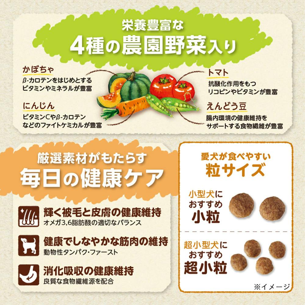 シーザードライ 成犬用 チキンと4種の農園野菜入り 超小粒 1.5kg CSR02