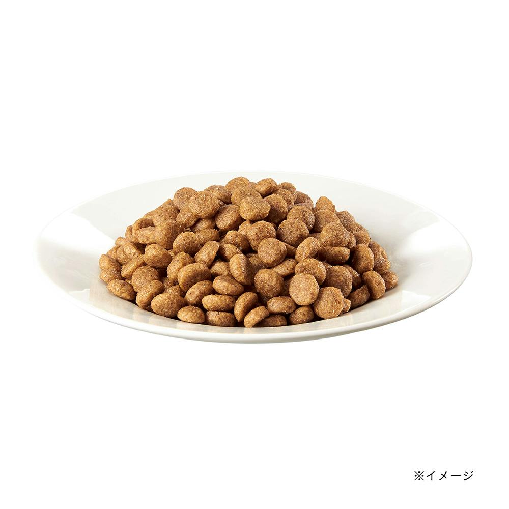 シーザードライ 成犬用 ラムと4種の農園野菜入り 小粒 1.5kg