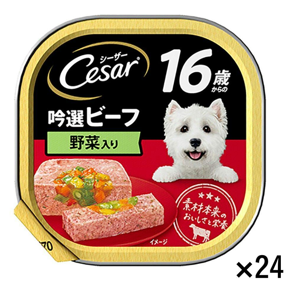 【ケース販売】シーザー 16歳からの吟選ビーフ野菜入り 100g×24個