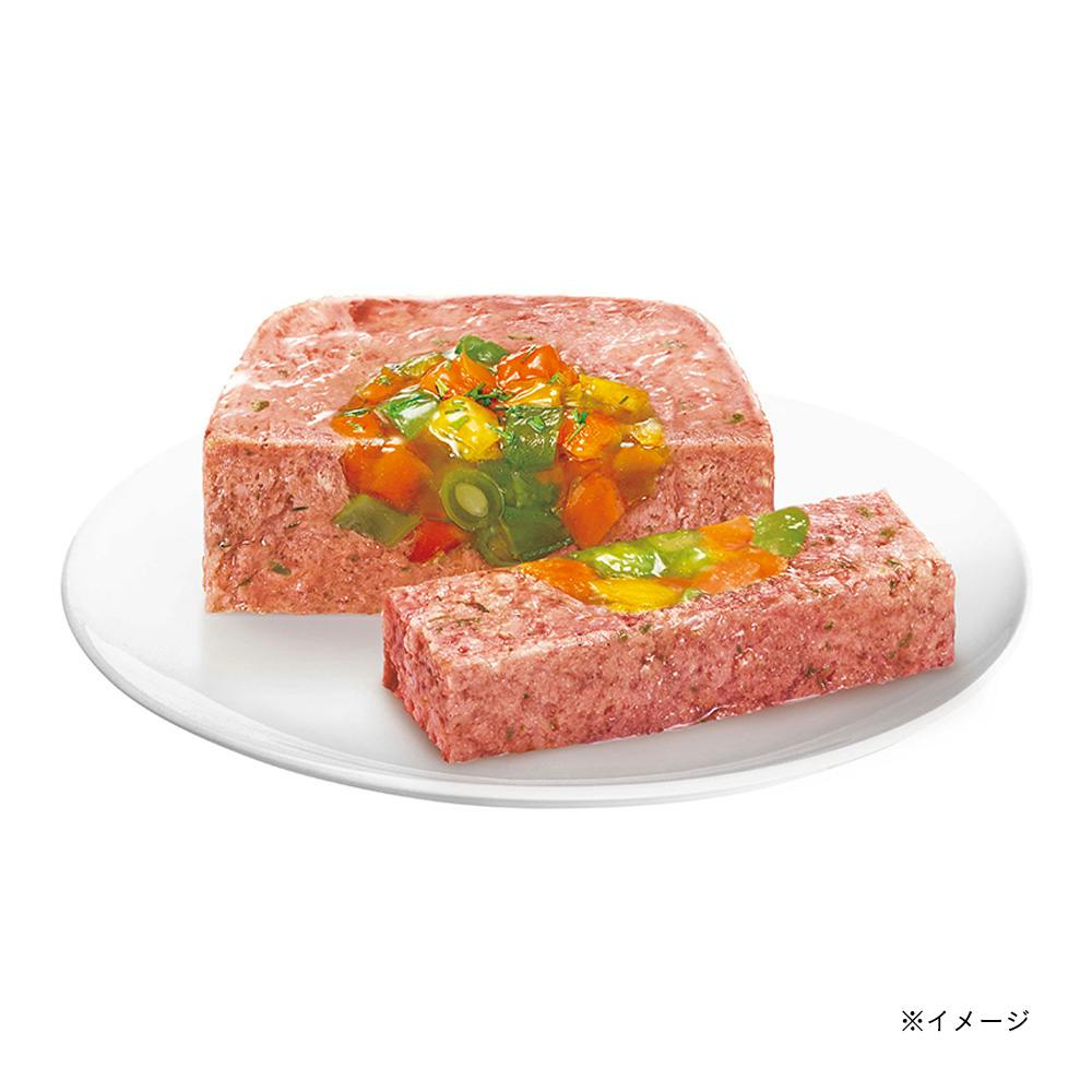 シーザー 16歳からの吟選ビーフ野菜入り100g CE80N | ペット用品