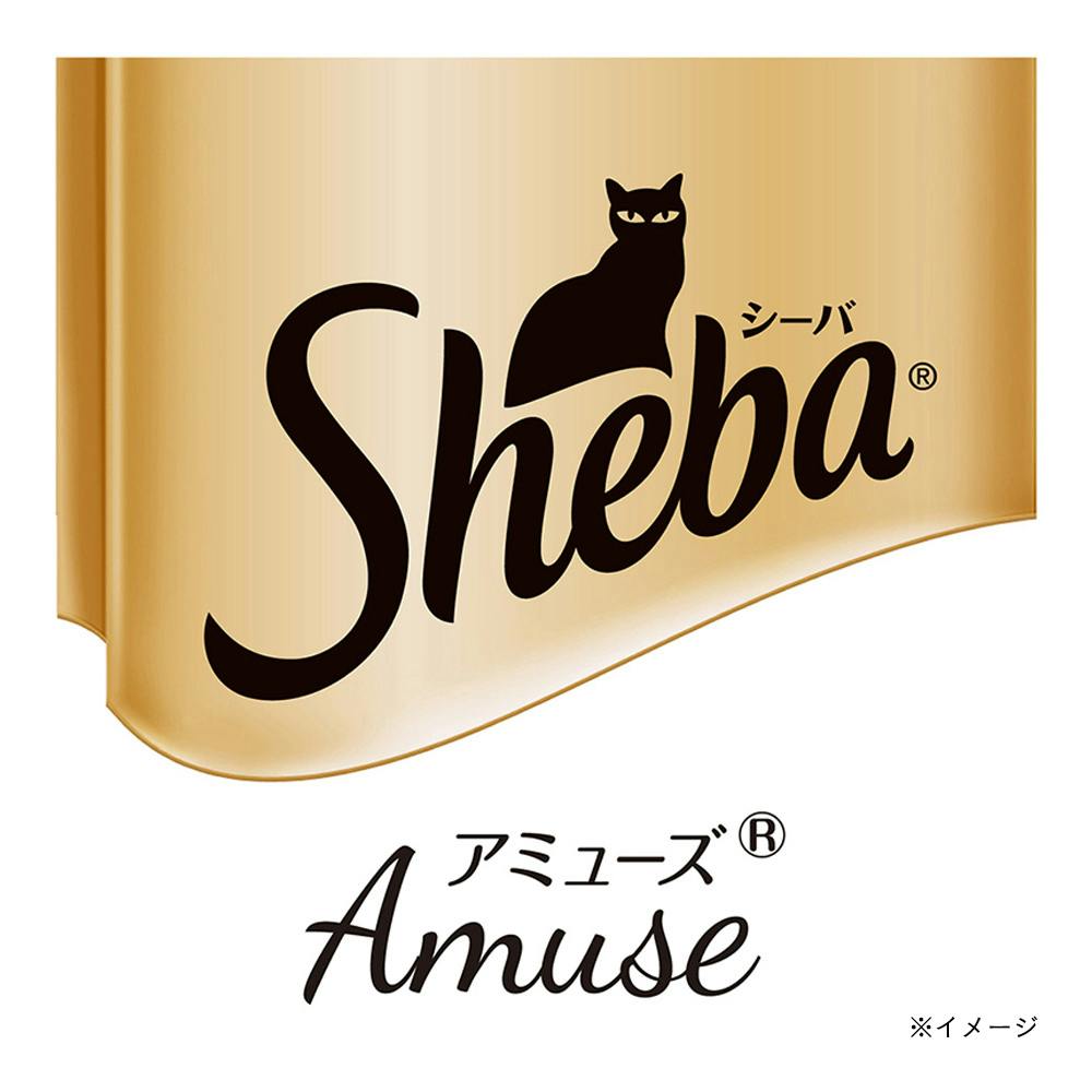 シーバ アミューズ お魚スープ 究極の2択 40g×6袋入 | キャットフード