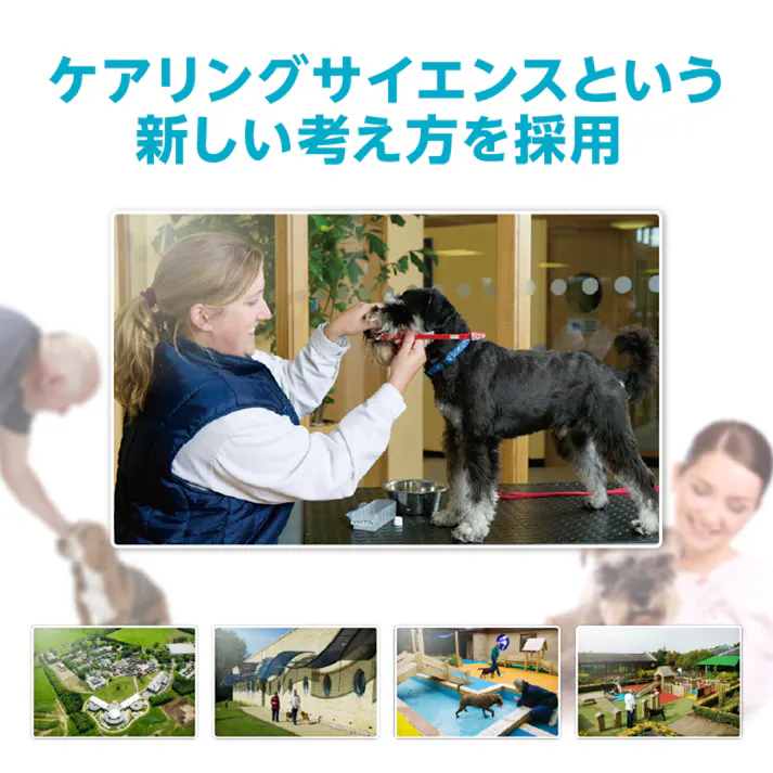 プロマネージ 成犬用 減量したい犬用 チキン 3.3kg