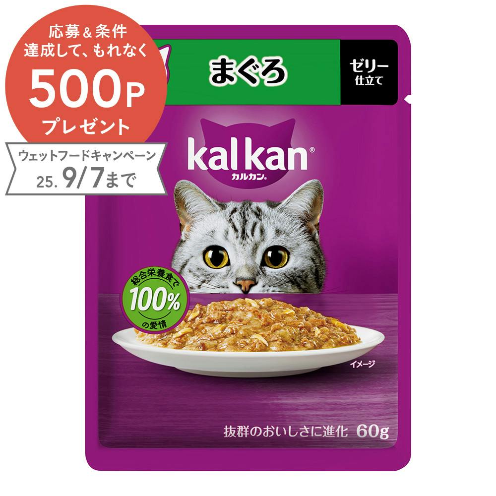 カルカン パウチ 15歳から まぐろ 60g 猫用ウェットフード(パウチ) カルカン パウチ 15歳から まぐろ 60g 猫用ウェットフード(パウチ)