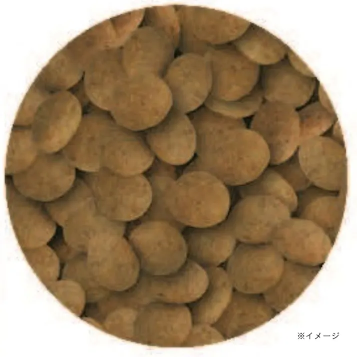 メディコートアドバンス 関節・筋肉の健康維持 1歳から チキン味 2kg