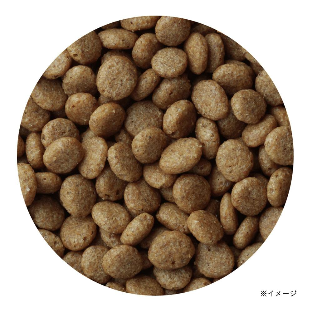 メディコート アレルゲンカット 魚＆米 ライト高齢犬 2.7kg(販売終了