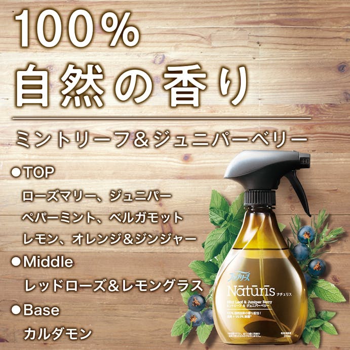 P＆G ファブリーズ ナチュリス ミントリーフ＆ジュニパーベリー 本体 370ml(販売終了)