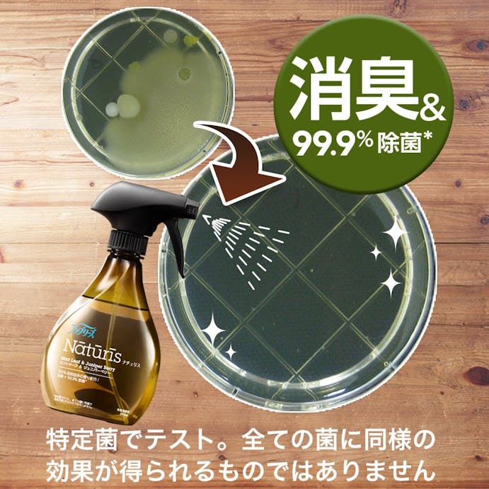 P＆G ファブリーズ ナチュリス ミントリーフ＆ジュニパーベリー 本体 370ml(販売終了)