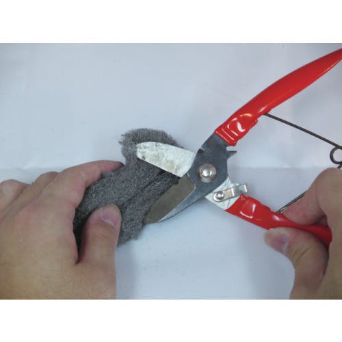 CAINZ-DASH】ボンスター販売 ポンド巻 ＃5 B-210【別送品
