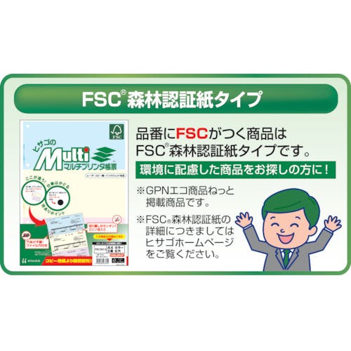 CAINZ-DASH】ヒサゴ プリンタ帳票Ａ４カラー２面４穴 FSC2011Z【別送品