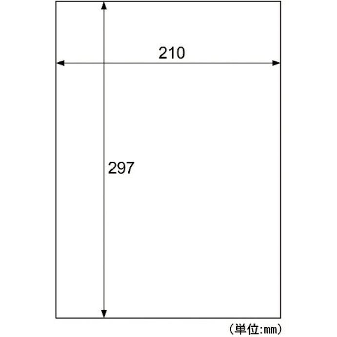 【CAINZ-DASH】ヒサゴ 屋外用ラベル　Ａ４　ノーカット KLP862S【別送品】