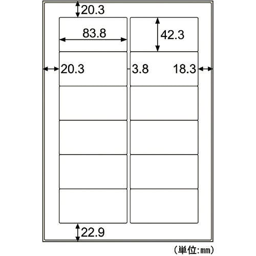 CAINZ-DASH】ヒサゴ 屋外用ラベル 粗い面対応 A4 12面 KLPB861S