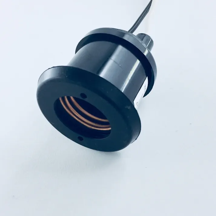 パナソニック 防水ソケツト より線・単線両用 吊り下げターミナル付 WW2410