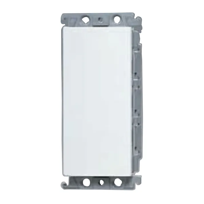 パナソニック コスモシリーズワイド21 ブランクカバー 取付枠付 ホワイト WT6191W