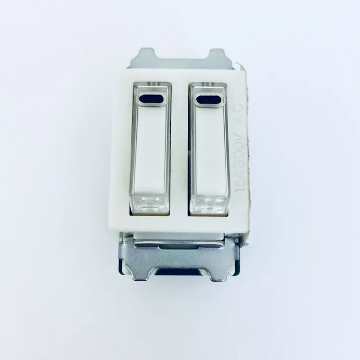 パナソニック フルカラー 埋込ネームツインスイッチB 片切 WN5021