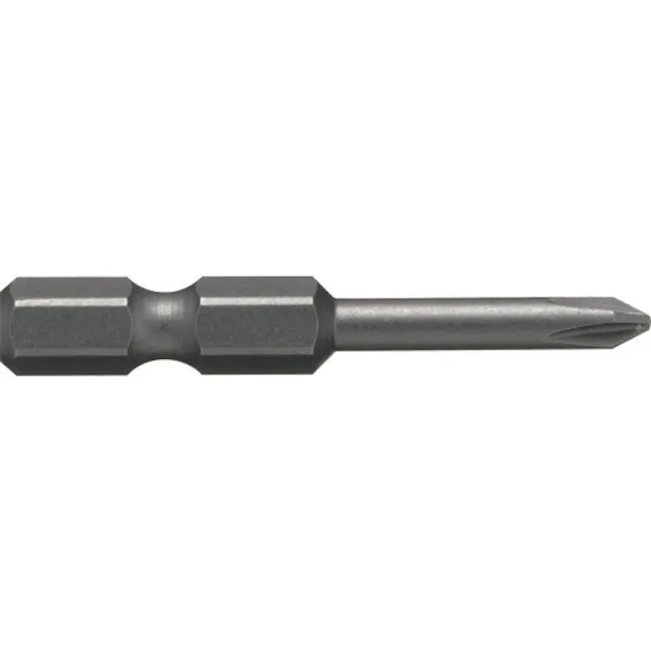 【CAINZ-DASH】パナソニックエレクトリックワークス社 先端工具(2本1組 EZ9851【別送品】